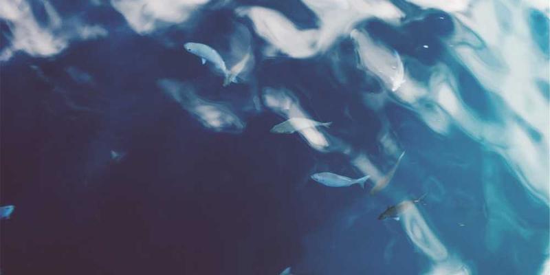 研究 ICU 病房的墙体，是否发展出了一种特殊的“生死节奏”隔音层