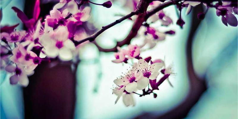 一位员工站立，双手交叉，向后伸展背部