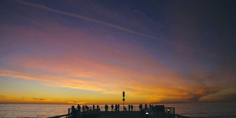 观察一个词汇在成为禁忌（被屏蔽）过程中，遭遇的“社会性免疫清除”