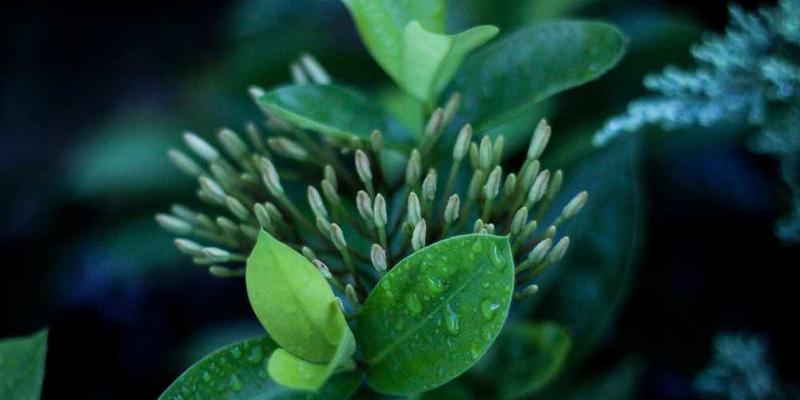 离职时的知识交接艺术：为自己与他人都留下良好资产