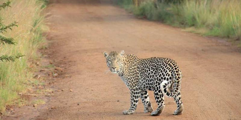 研究排队等待时，时间如何从透明液体变为凝固胶体的“相变临界点”
