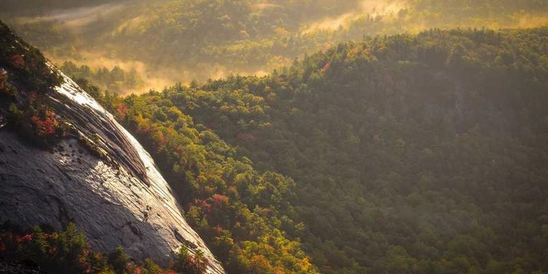 一位购物者在家中处理塑料袋