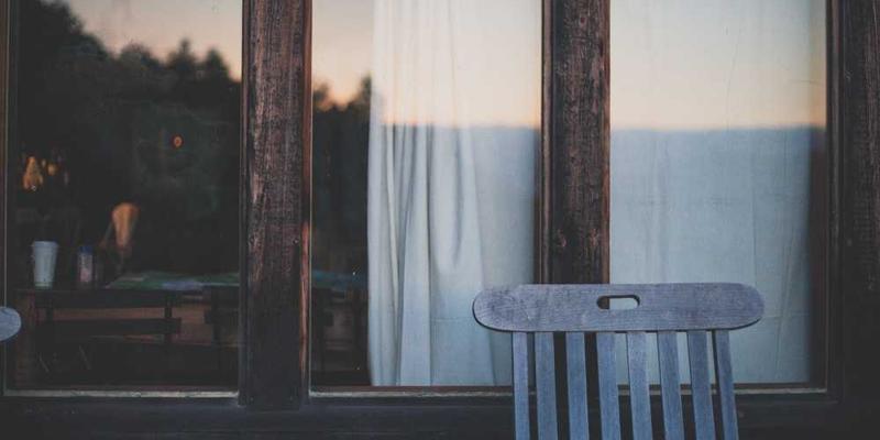 绿植叶子大部分凋落,只剩下几片残叶在风中摇曳