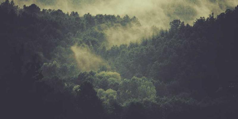 小丽和小熊玩偶的合影,背景是她的家
