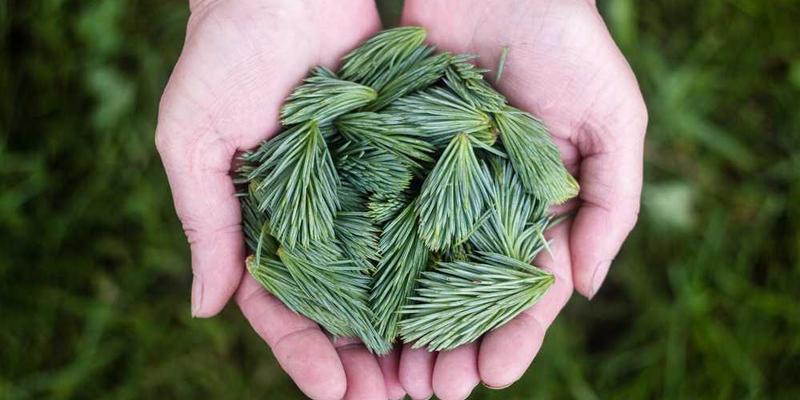 温馨家庭场景,家庭成员在地板上行走,地板似乎在轻微回放脚步声