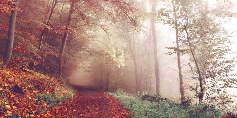 给自己放一个“反向假期”:在假期里完成比工作时更繁重的学习任务