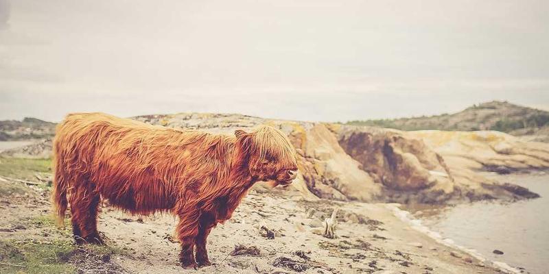 一张手写的情书,钢笔的笔尖在纸上留下干涸的痕迹
