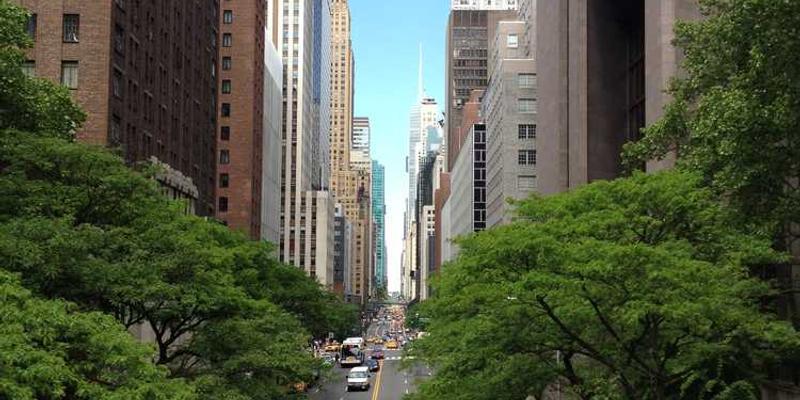 世界菜市场巡礼：最具当地烟火气的美食探索地