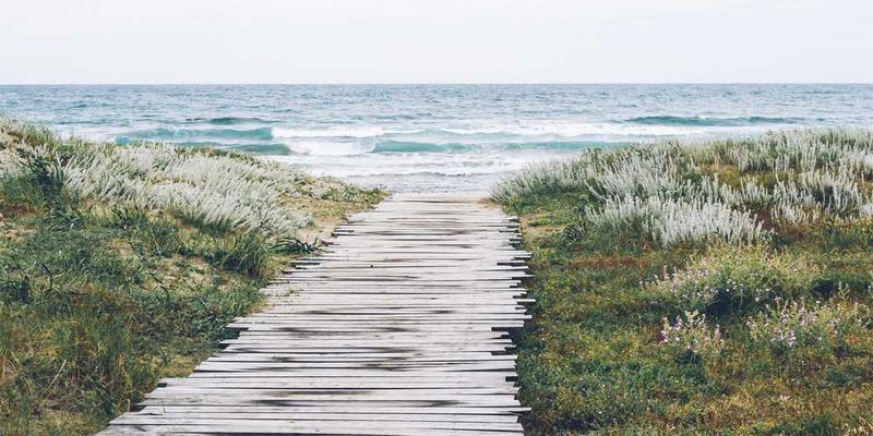 当我把身体想象成一个生态系统：各部位的角色扮演报告