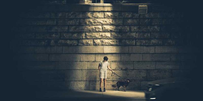 展示万有引力模型和音乐乐谱