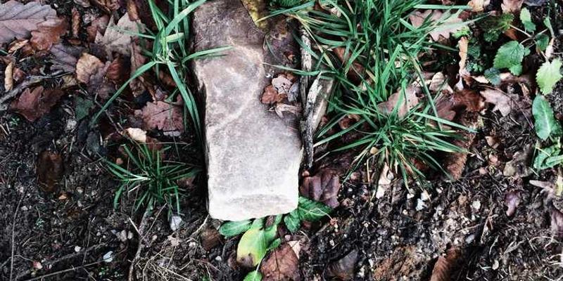 一位年轻人在使用电动牙刷和牙线清洁口腔的情景