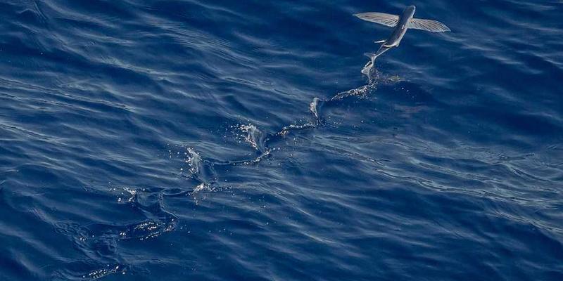 旧日记重读与再创作:将过去的文字素材化为新作品