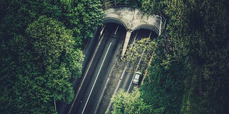 一位成年人坐在窗边,手中拿着一本小说,脸上洋溢着微笑。说明:这位成年人正享受着与“幻想中的朋友”相处的时光,寻找内心的慰藉。