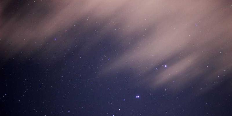 健身卡使用频率统计图：一张描绘雄心与惰性斗争史的悲壮曲线。