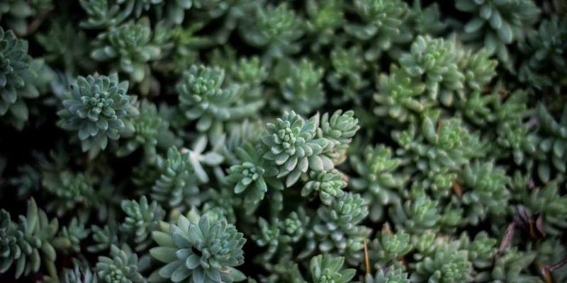 分析电影院座椅的起伏,如何与上百部电影的情绪曲线发生隐秘共振