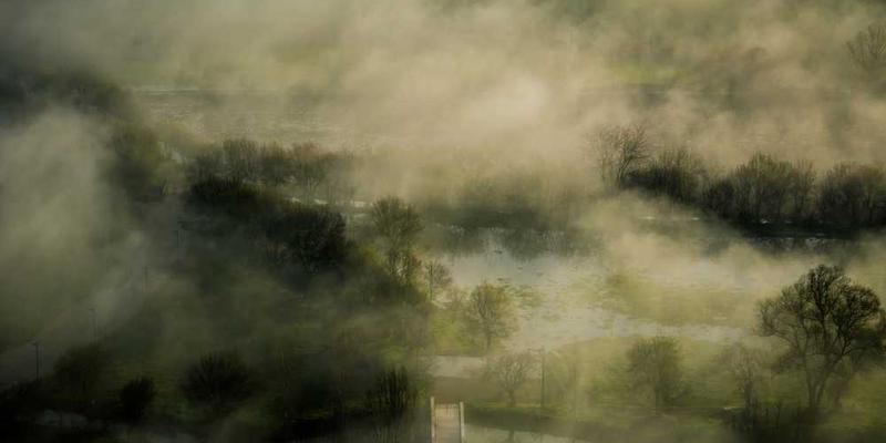绿植开始出现枯黄的叶子,但整体仍然生机勃勃
