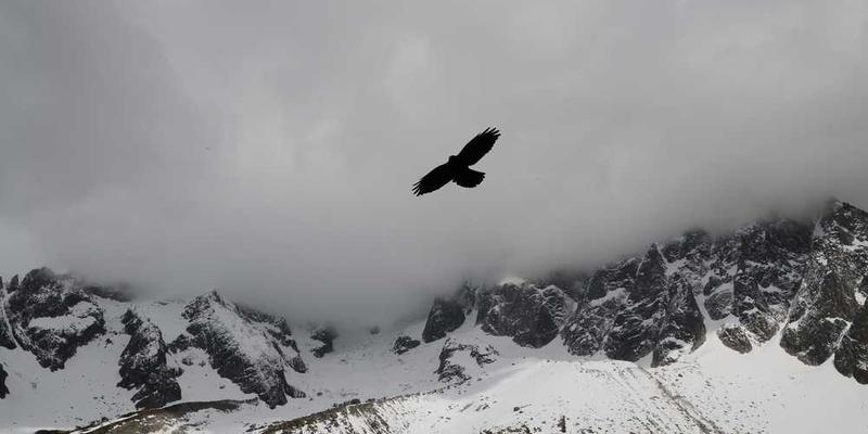 一个家庭在客厅里用各种日常物品创作打击乐，有锅碗瓢盆、纸箱、塑料瓶等，家庭成员们笑容满面，享受着音乐带来的快乐。