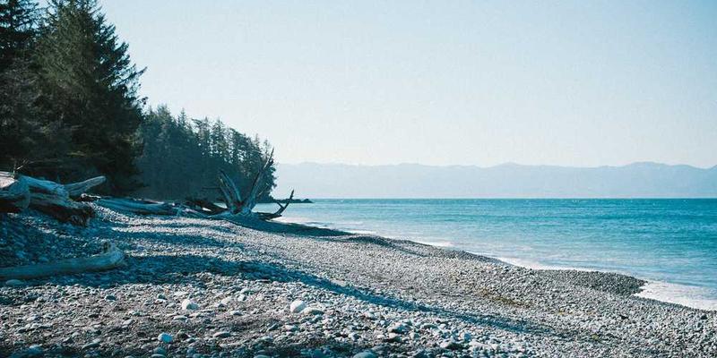 编程软件界面与购物清单对比图 - 说明：左侧是常见的购物清单样式，右侧是利用编程软件生成的购物清单，展示两种方式的对比