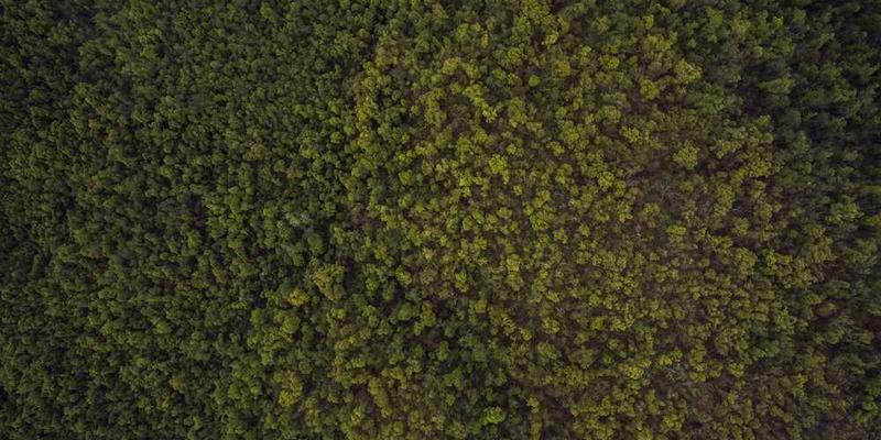 舒适的室内环境示意图