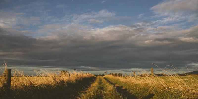 一位年轻人在镜子前细致地刷牙,表现出对刷牙动作的专注和享受。