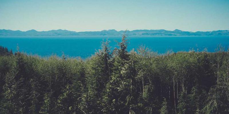 时间的纹理,可以是抽象的线条交织,或者是一滴水滴在沙漏中的轨迹,象征着时间的流逝和变化