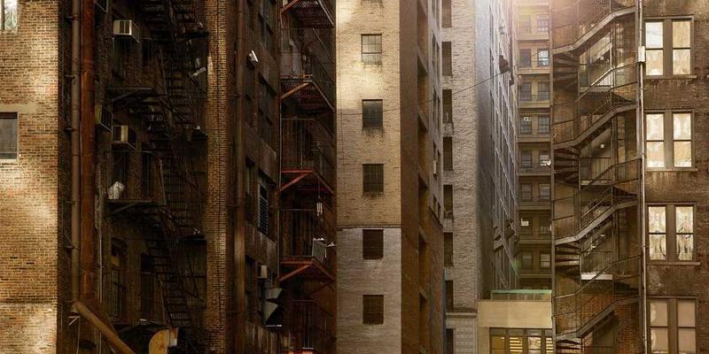 一只宠物狗的图片，背景是主人正在抚摸它