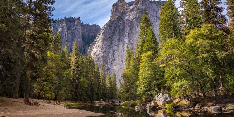 夏日午后,孩子们在树荫下阅读,一本本书籍在阳光下闪闪发光,他们专注的眼神,仿佛在寻找知识的宝藏。