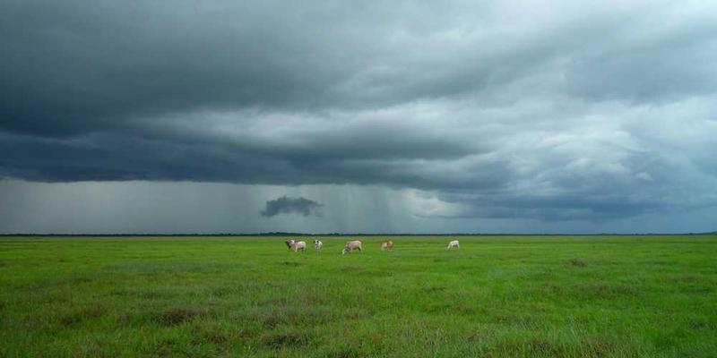 职场“软技能”硬核提升：倾听、提问与反馈的刻意练习