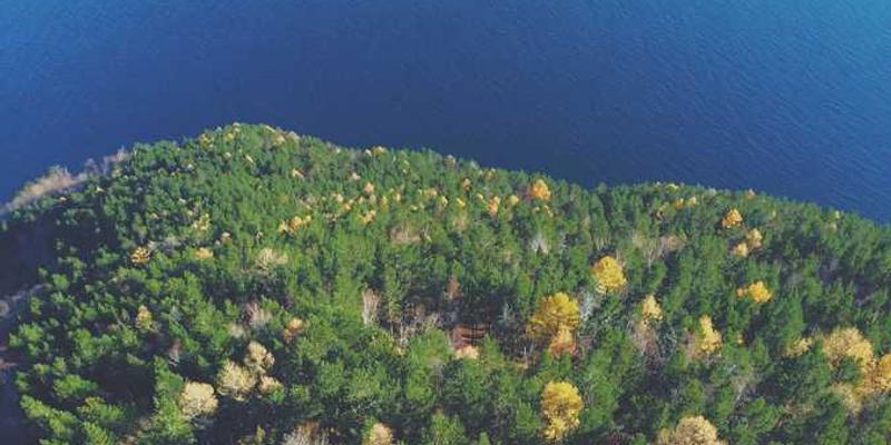 把人生重大决定交给AI做抛硬币——它给出的不是正反，是72页的利弊分析报告