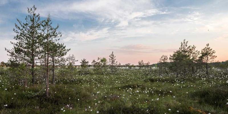 城市街道上的白噪音收集设备，如手机录音、麦克风等，背景为繁华的城市景观