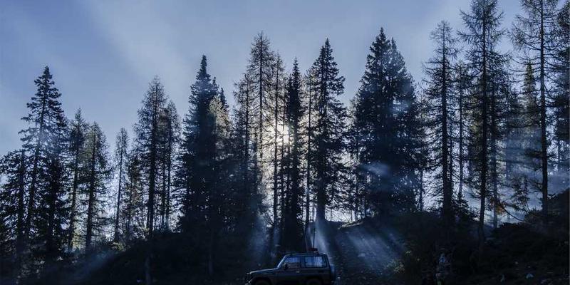 记录从得知一个好消息到心情平复,这段时间在感觉上的“弹性系数”