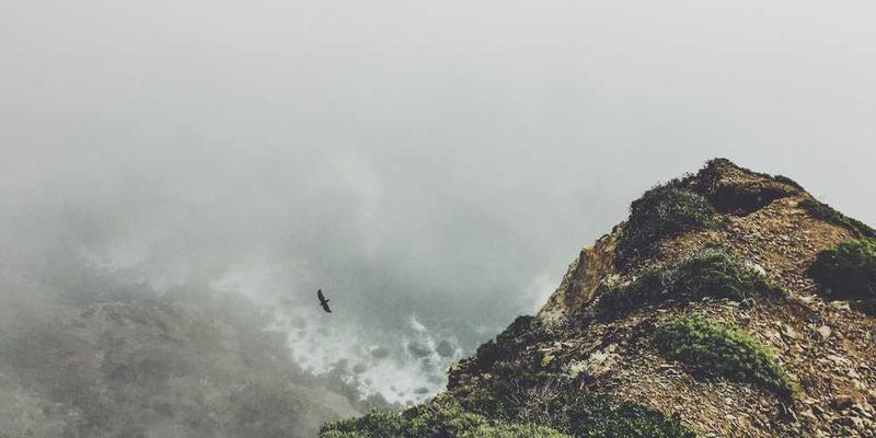 将手机充电线缠绕的形态,当作抽象雕塑进行每日记录与命名