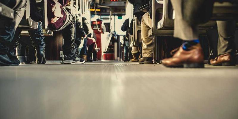 观察猫咪胡须在探测空间时,那几乎不可见的精准颤动