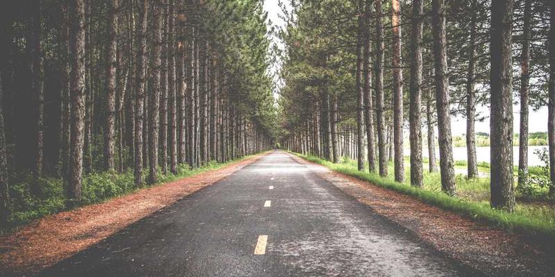 说明：一个手拿书和笔的人坐在桌前，眼神充满期待，背景是一个充满书籍的角落，象征着阅读的乐趣和知识的力量。