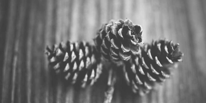 温馨的家庭场景，包括门铃、水壶和家庭成员的欢声笑语