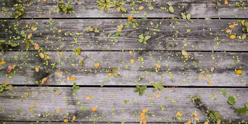 一家咖啡馆的角落，一张孤零零的桌子，旁边摆放着一杯咖啡和一个笔记本，角落的灯光柔和，营造出一种温馨的氛围