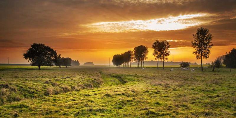 当AI的“创造力”被量化为指标后，它开始系统性地生产“安全的怪异”。