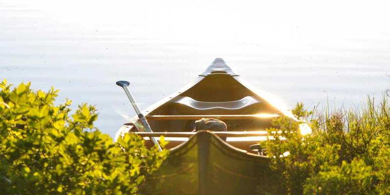 星系图，中心有一颗明亮的恒星，周围环绕着行星与卫星，象征着知识体系的结构与探索之旅