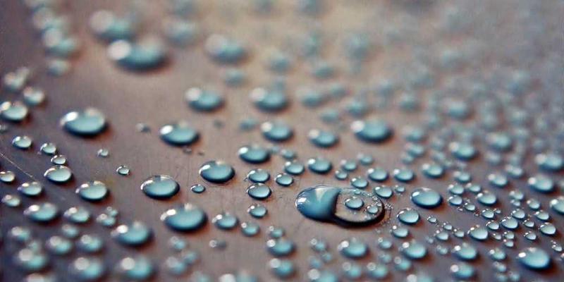 记录冰箱里某一种食物，从充满期待到被遗忘腐败的全过程